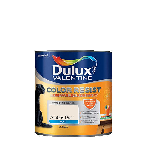 Ambrre Dur Color Resist Peinture Discount 
