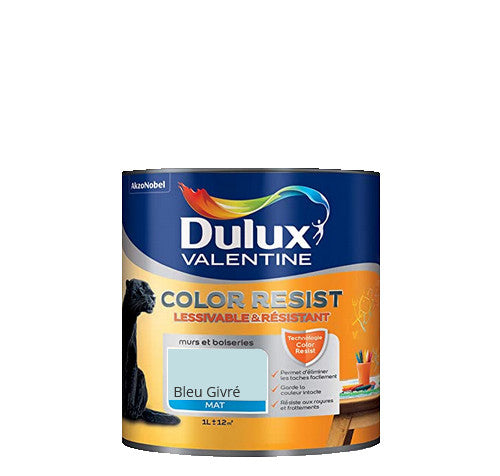 Bleu Givré  Color Resist DULUX VALENTINE Peinture Discount 