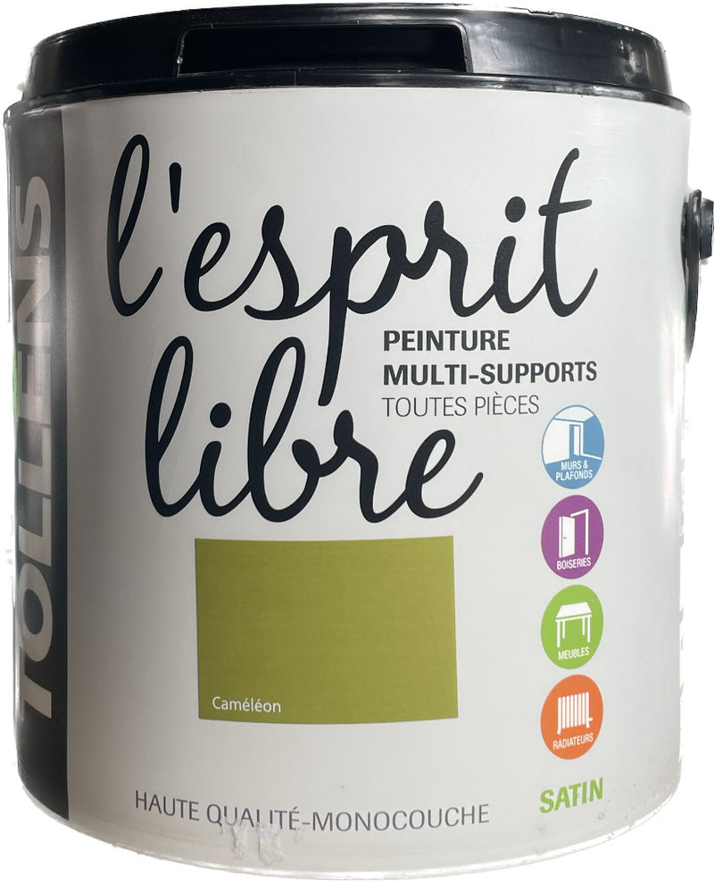 Cameleon  Peinture Multi Supports Esprit Libre TOLLENS | PEINTURE DISCOUNT
