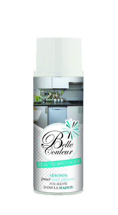 Spray "Electroménager Blanc" Belle Couleur 400 ml I Peinture Discount