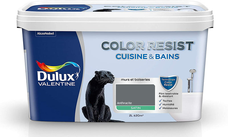 Anthracite Color Resist Cuisine & Bains Dulux Valentine | PEINTURE DISCOUNT