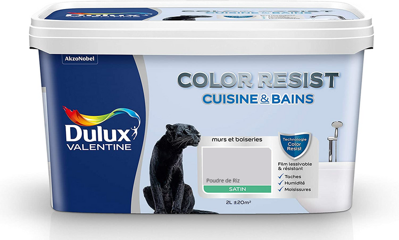 Poudre de Riz Color Resist Cuisine & Bains Dulux Valentine | PEINTURE DISCOUNT