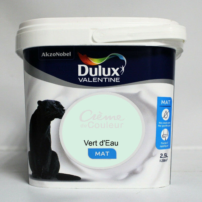Peinture mur anthracite mat DULUX VALENTINE Crème de couleur 2.5l